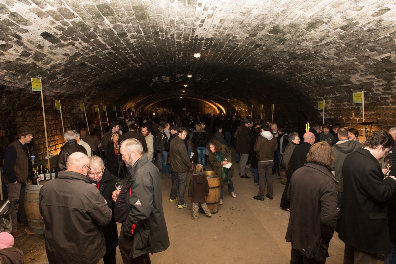 Evenements Nez dans le vert 7988